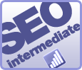 SEO training for intermediates