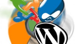 wordpress-joomla-drupal wordpress joomla drupal
